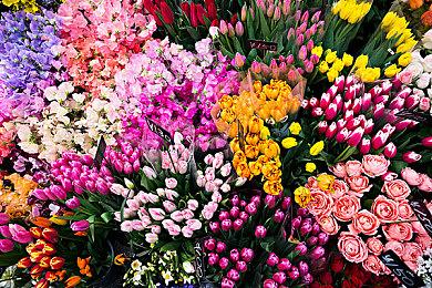 《冤罪执行游戏Yurukill》公开繁体中文预购特典与体验版信息