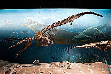 《银河护卫队：圣诞特别篇》显示复联某角色未死